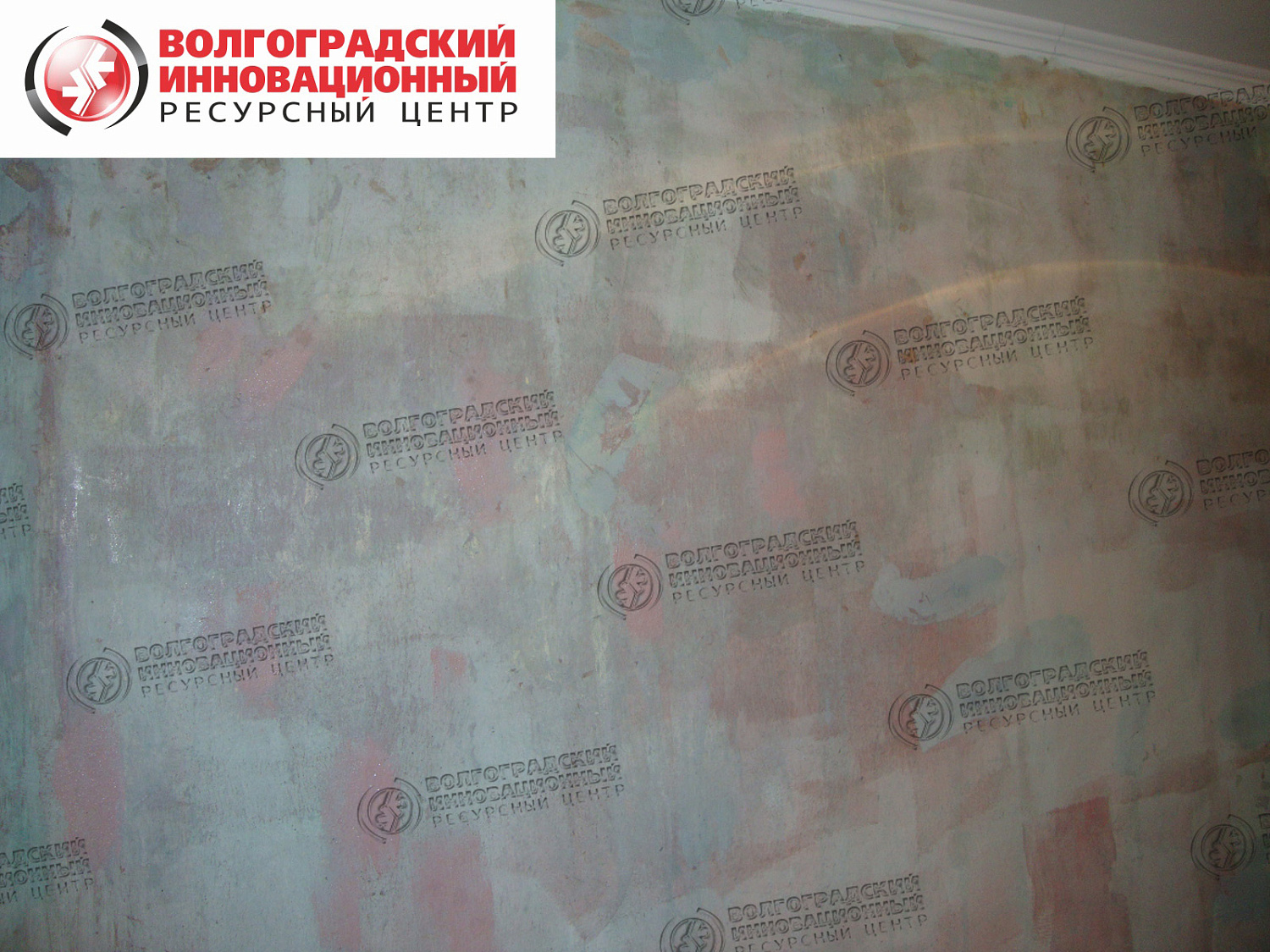 частная квартира плесень