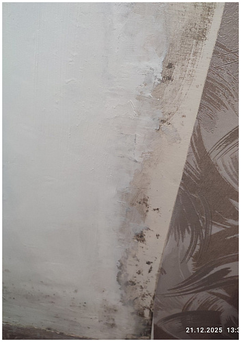 Победа над плесенью и холодом — отзыв спустя 4 года эксплуатации Броня Фасад в г. Шимановск Амурской области (фото, видео)