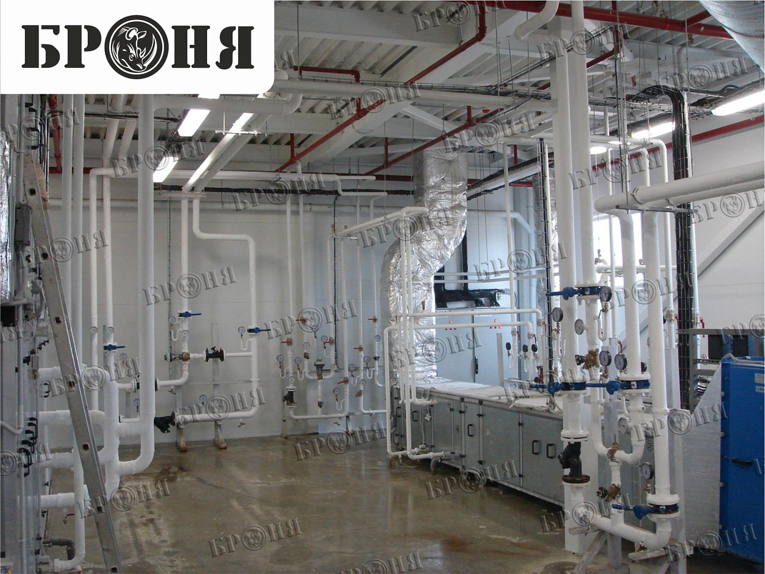 Photo report on the insulation with Bronya - "Nutricia - Danone" in Istra, Moscow region