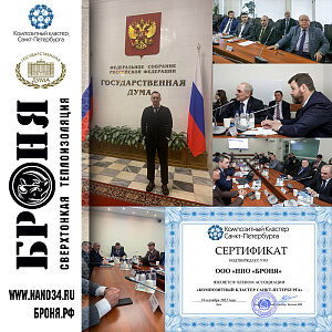 Reservation at a meeting of the section of the expert council on legislative regulation in the State Duma of the Russian Federation (photo and certificate)