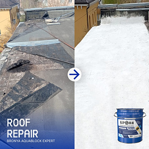 Roof Repair with 'Bronya AquaBlock Expert', Kaluga (Photos)