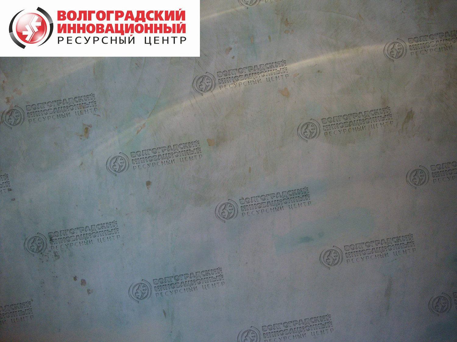 частная квартира плесень