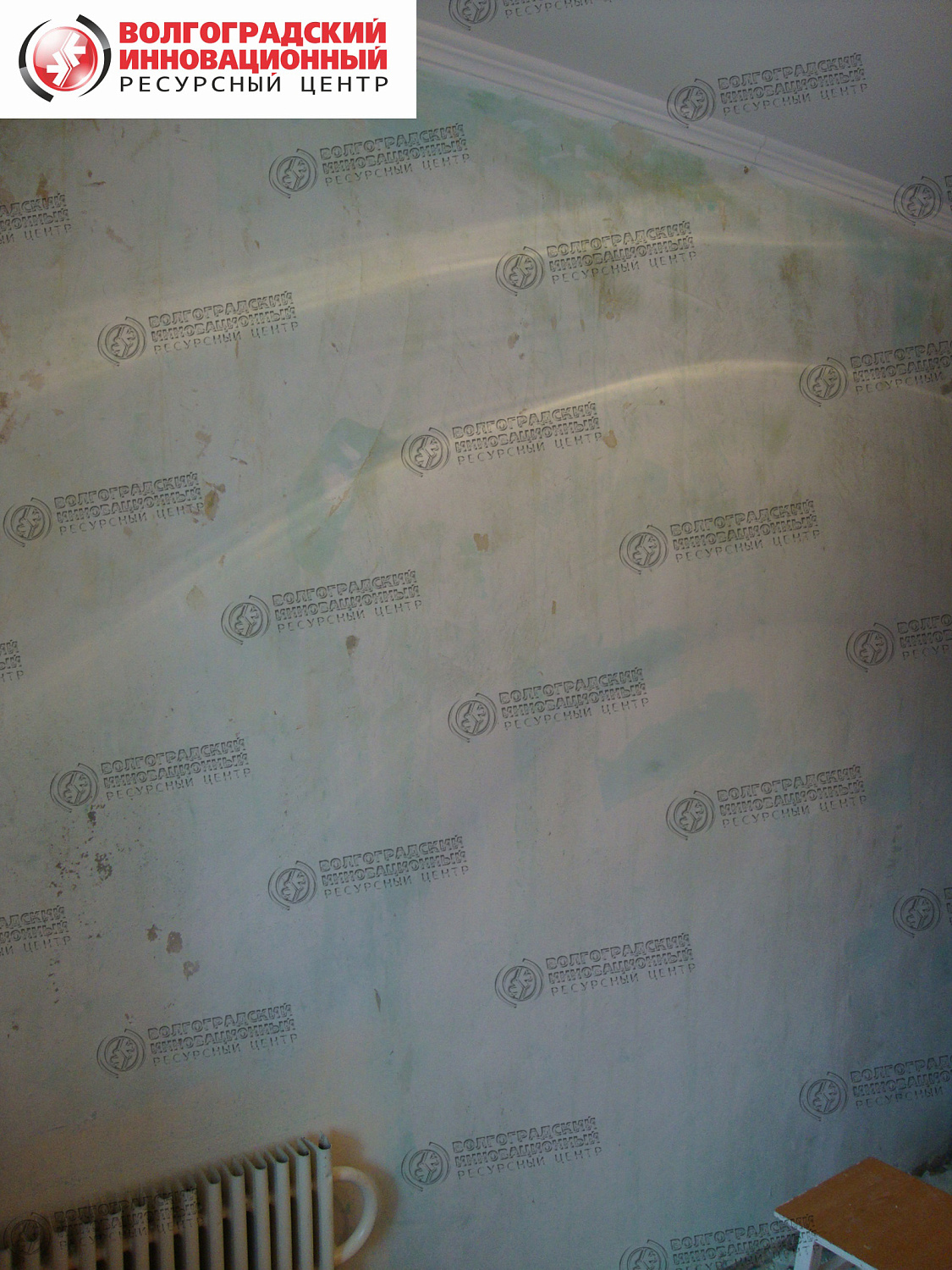 частная квартира плесень