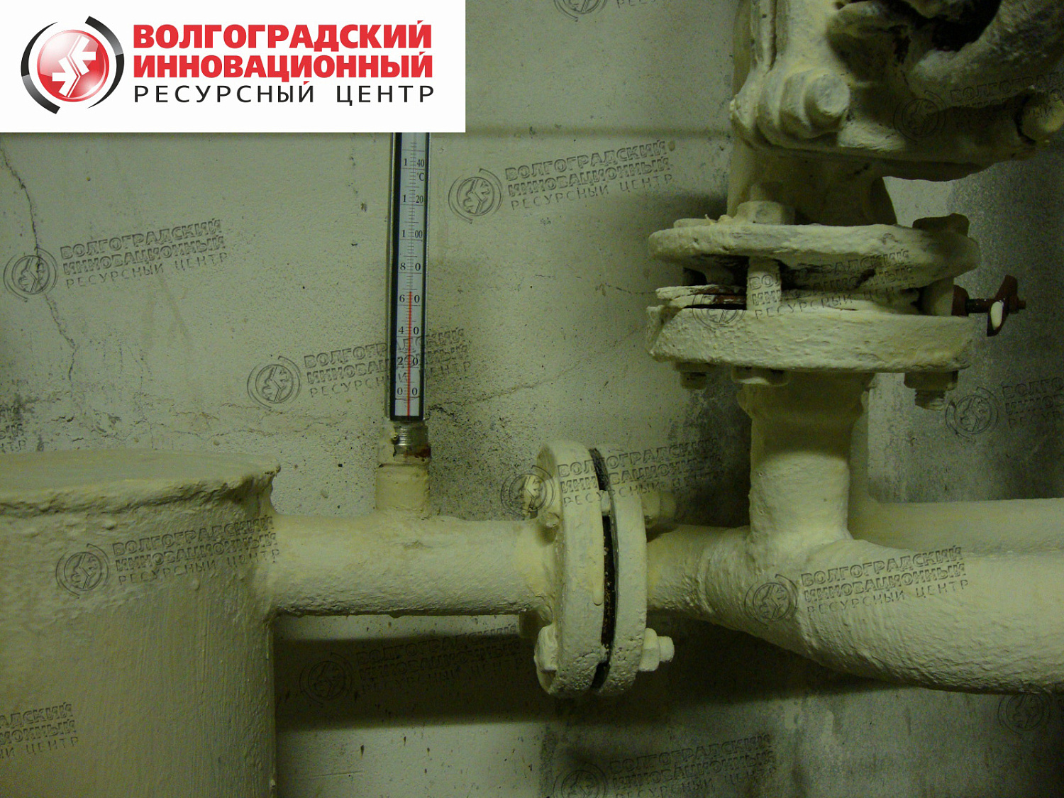 Кострома подвал