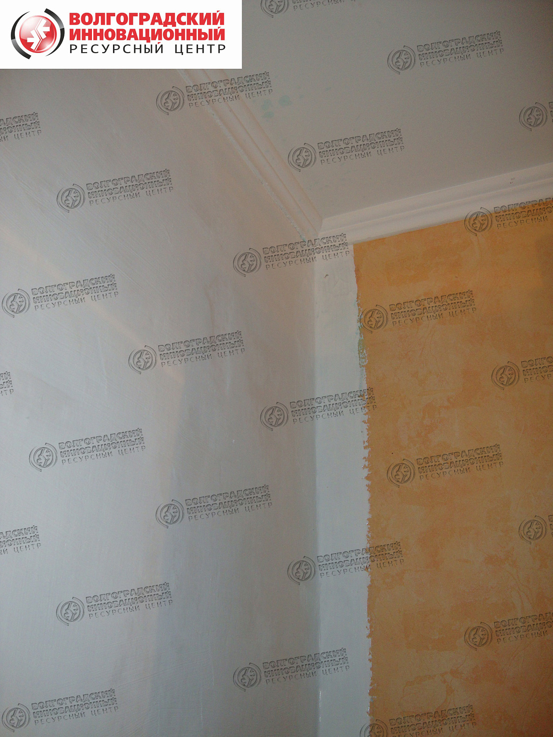 частная квартира плесень