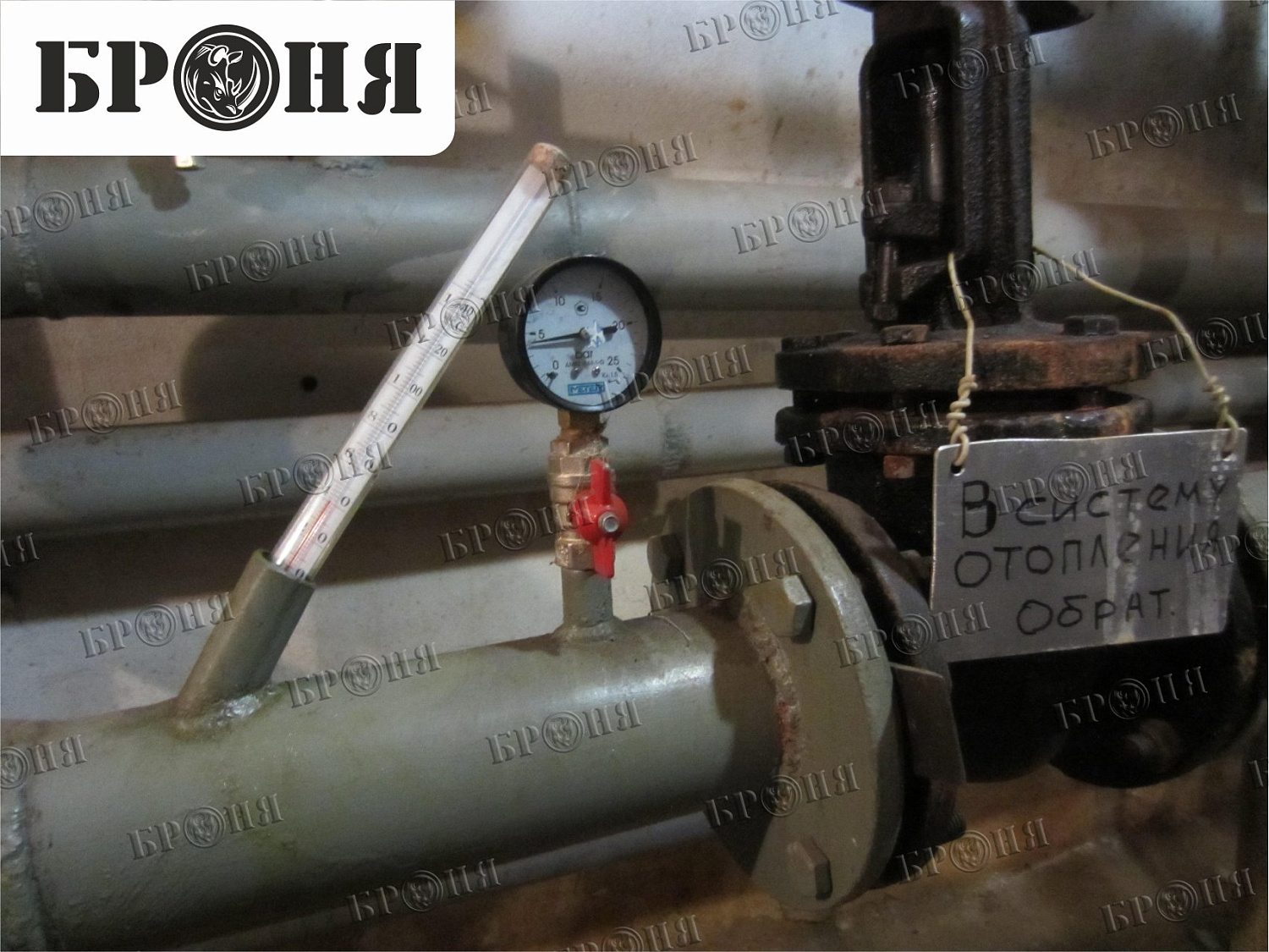 Волгоград, библиотека им. Горького