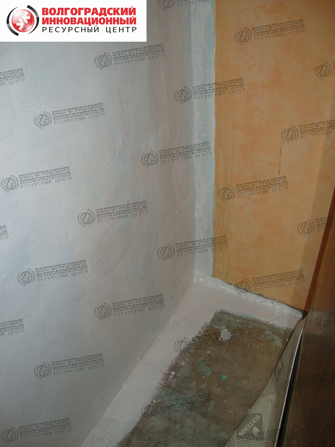 частная квартира плесень