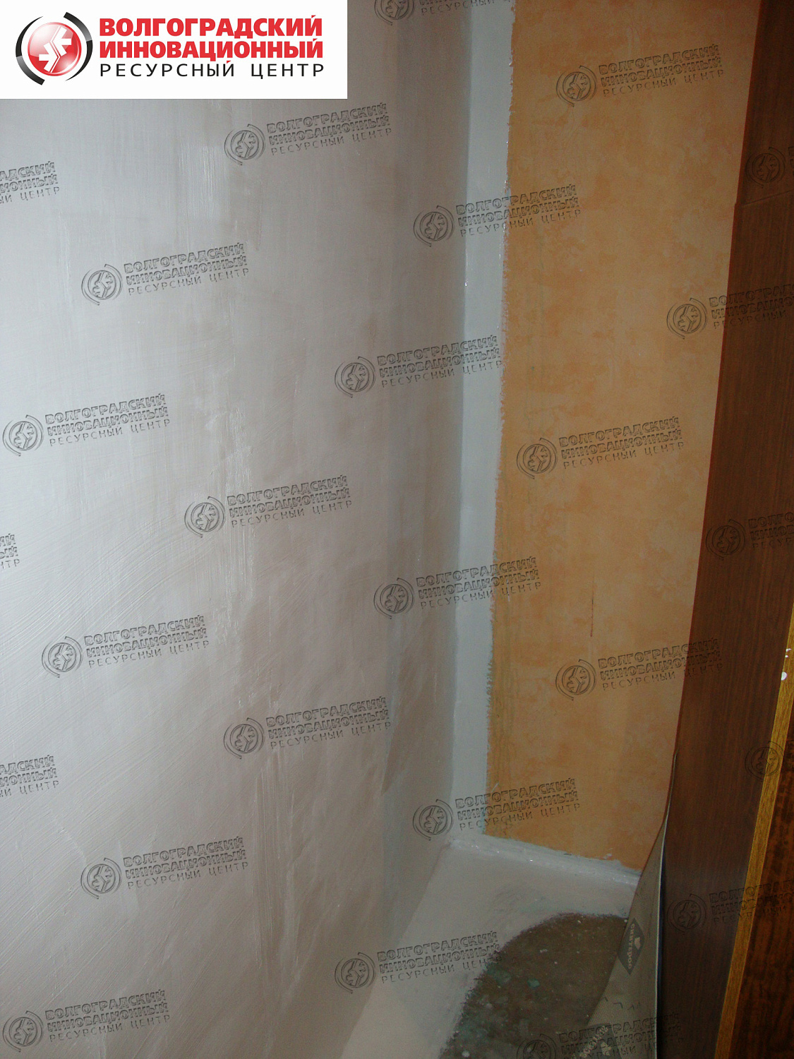 частная квартира плесень