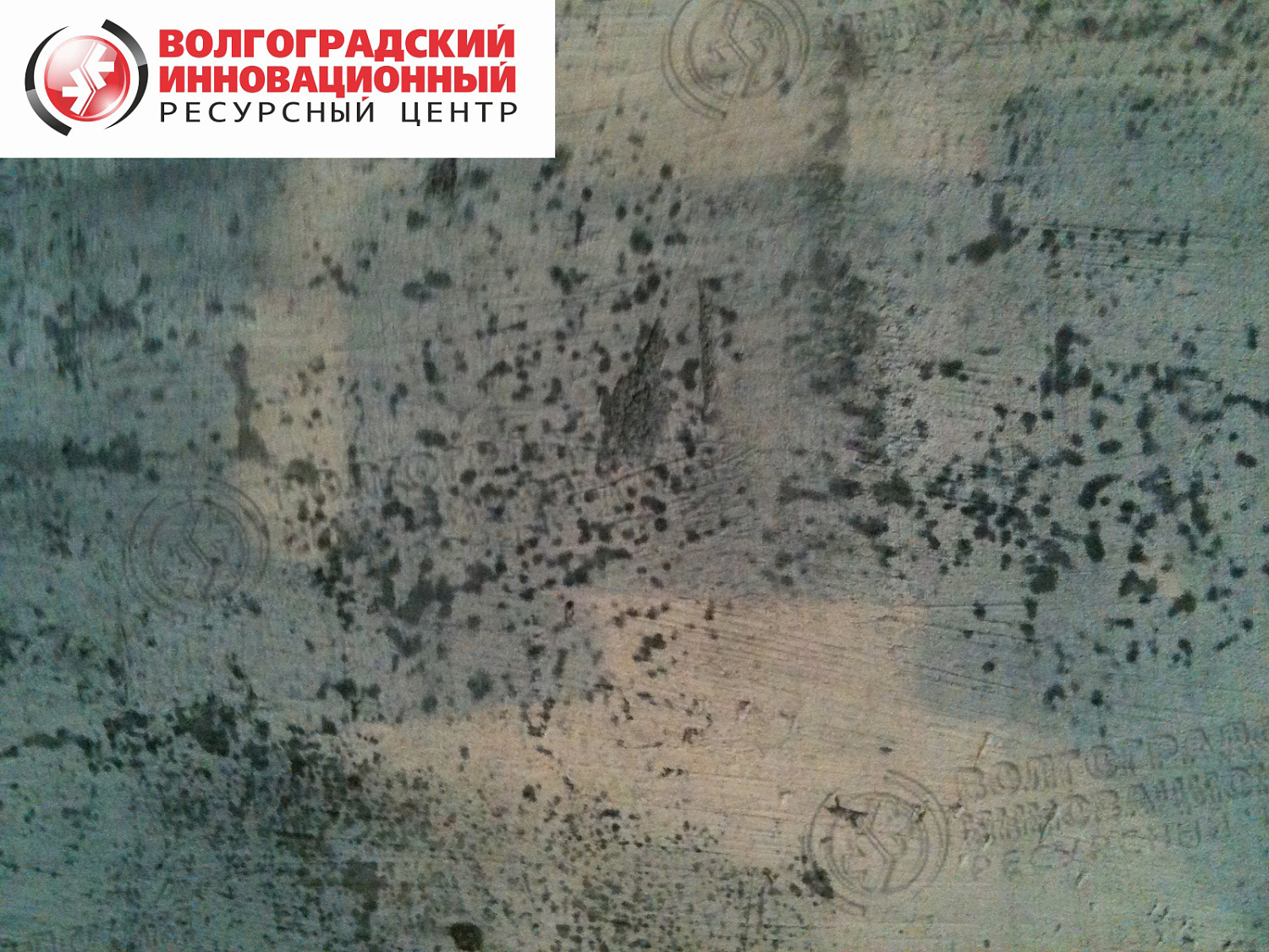 Волгоград Zirax