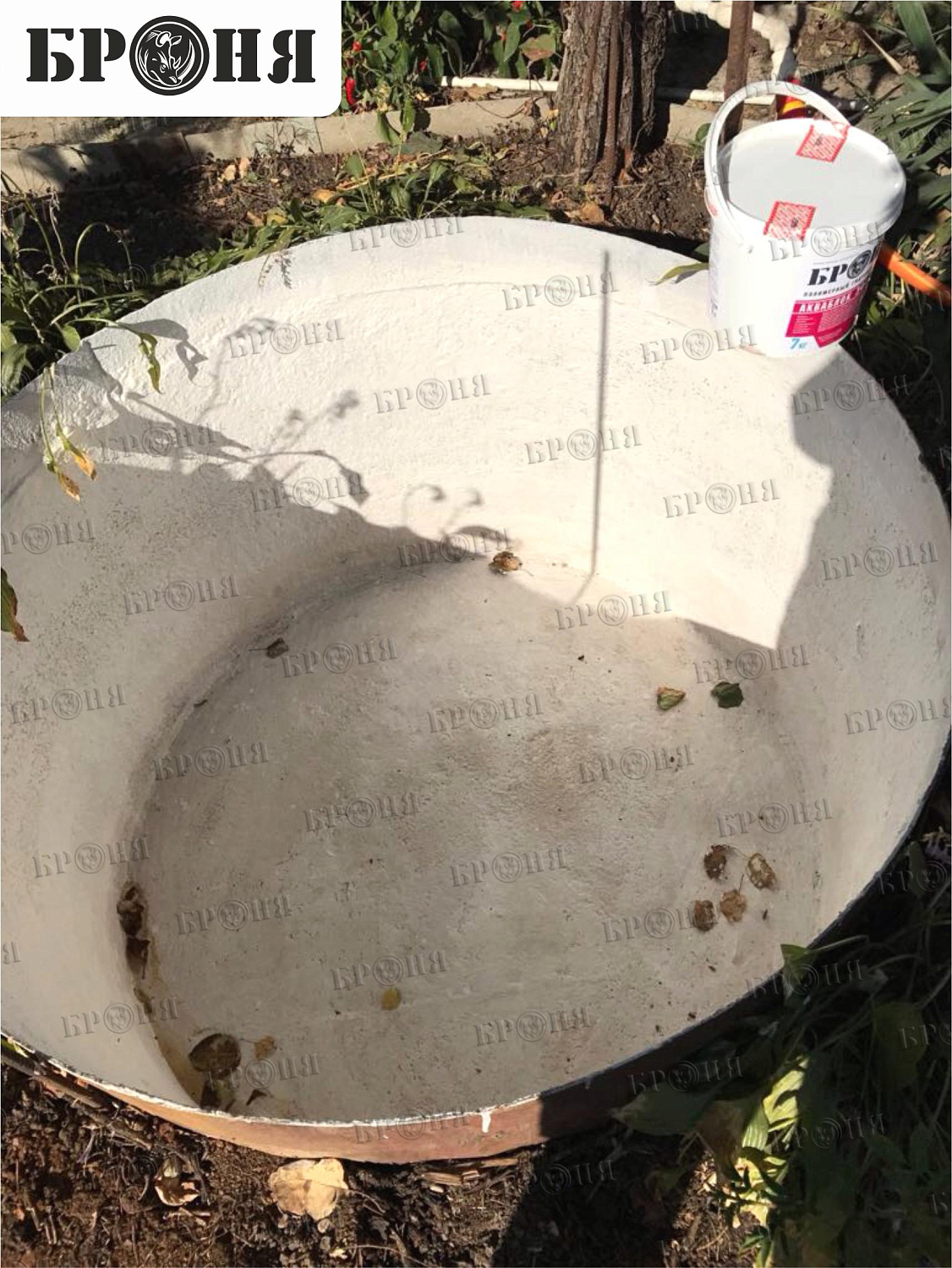 Ставропольский край, емкость для разведения кувшинок