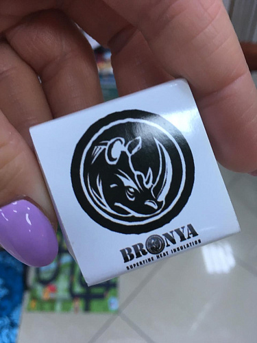 Теплоизоляция Броня на бизнес-миссии волгоградских предпринимателей в Армению (фото)