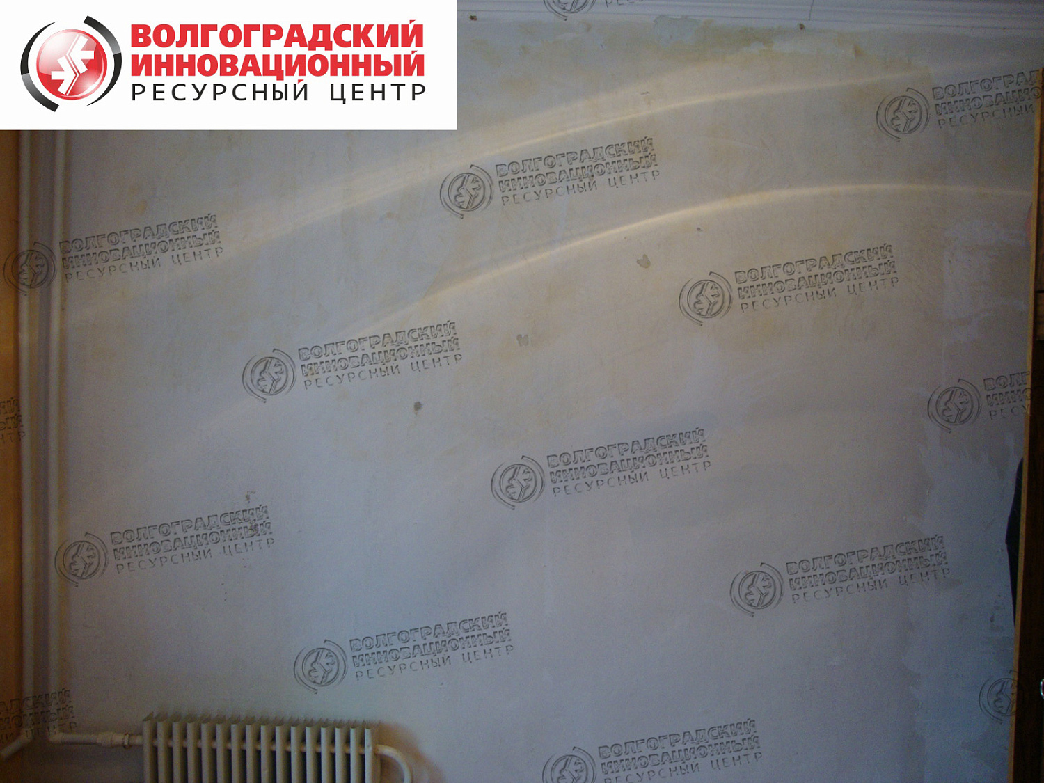 частная квартира плесень