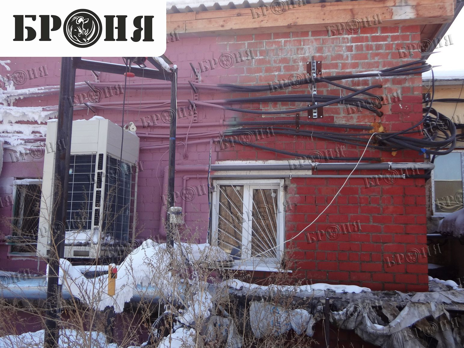 Иркутская обл., Усольский р-н, СХПК Усольский свинокомплекс. 