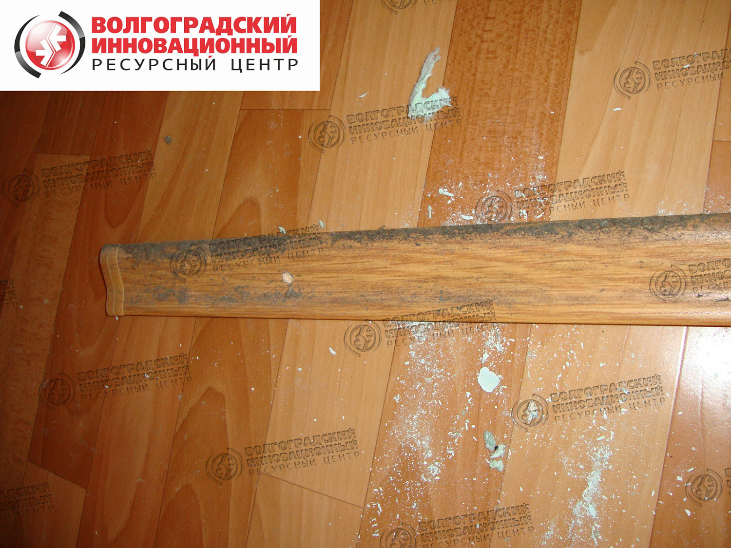 частная квартира плесень